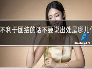 不利于团结的话不要说出处是哪儿什么梗
