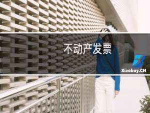 不动产发票