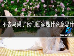 不去鸟巢了我们回家是什么意思什么梗
