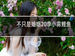 不只是婚姻 李小雾鲤鱼