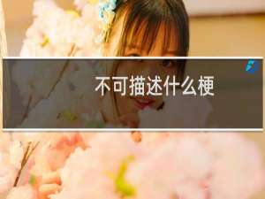不可描述什么梗