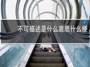 不可描述是什么意思什么梗