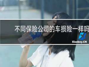 不同保险公司的车损险一样吗