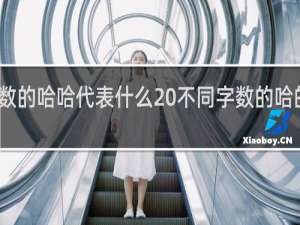 不同字数的哈哈代表什么 不同字数的哈的含义什么梗