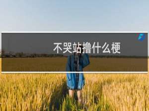 不哭站撸什么梗