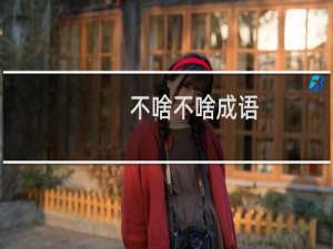 不啥不啥成语