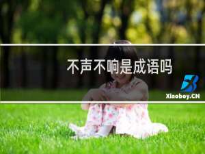 不声不响是成语吗
