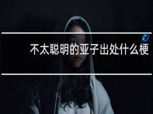 不太聪明的亚子出处什么梗