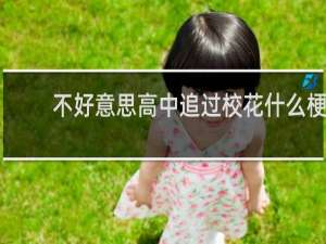 不好意思高中追过校花什么梗？什么梗