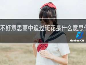 不好意思高中追过班花是什么意思什么梗