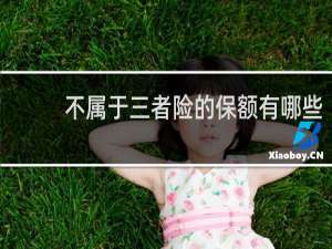 不属于三者险的保额有哪些