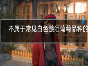 不属于常见白色酿酒葡萄品种的是