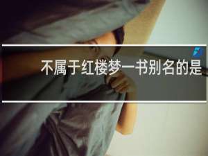 不属于红楼梦一书别名的是