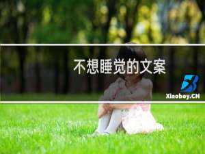 不想睡觉的文案（不想睡觉）
