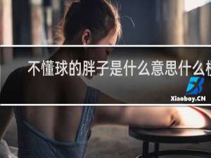 不懂球的胖子是什么意思什么梗