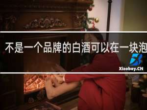 不是一个品牌的白酒可以在一块泡酒吗