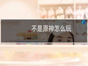 不是原神怎么玩