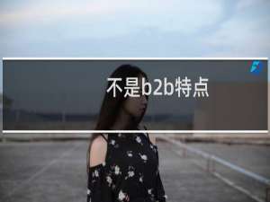 不是b2b特点