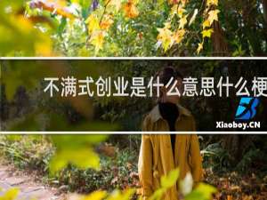 不满式创业是什么意思什么梗