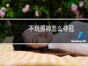 不玩原神怎么夺冠