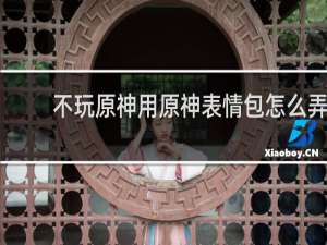 不玩原神用原神表情包怎么弄
