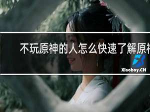 不玩原神的人怎么快速了解原神