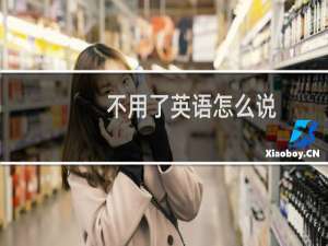 不用了英语怎么说