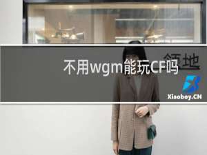 不用wgm能玩CF吗