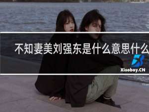 不知妻美刘强东是什么意思什么梗