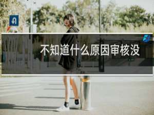 不知道什么原因审核没有通过