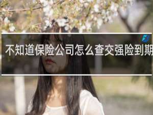 不知道保险公司怎么查交强险到期时间