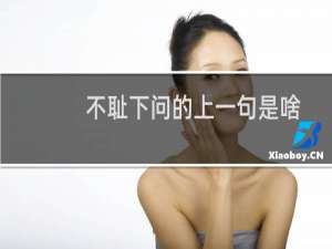 不耻下问的上一句是啥（不耻下问的上一句是什么）