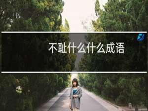 不耻什么什么成语