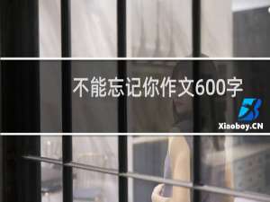 不能忘记你作文600字