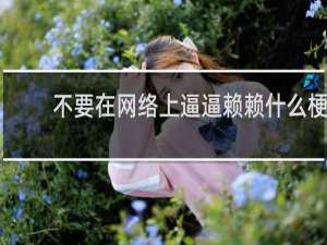 不要在网络上逼逼赖赖什么梗