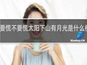 不要慌不要慌太阳下山有月光是什么梗什么梗