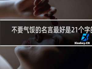 不要气馁的名言最好是21个字的