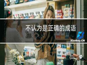 不认为是正确的成语