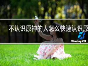 不认识原神的人怎么快速认识原神