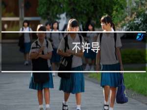 不许导，积回去什么梗