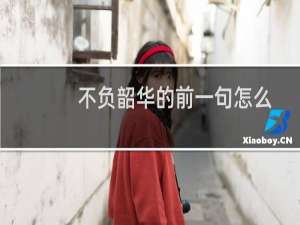 不负韶华的前一句怎么说（不负韶华的前一句是什么）