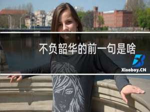 不负韶华的前一句是啥（不负韶华的前一句是什么）