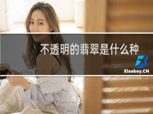 不透明的翡翠是什么种