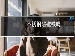不锈钢沾磁铁吗