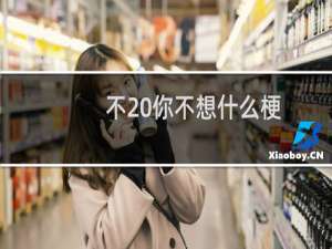 不 你不想什么梗