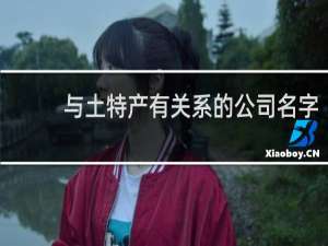 与土特产有关系的公司名字