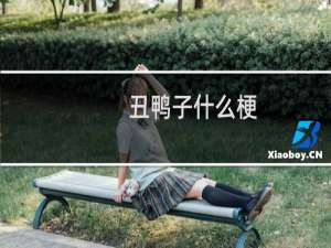 丑鸭子什么梗