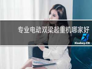 专业电动双梁起重机哪家好