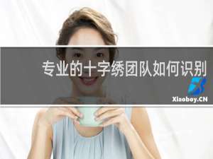 专业的十字绣团队如何识别