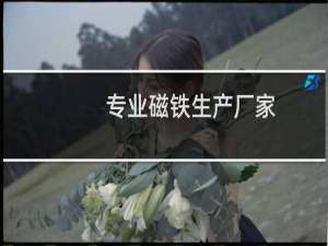 专业磁铁生产厂家